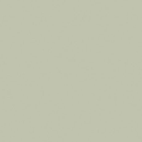 SEAGRASS