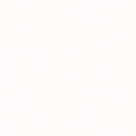 ICONIC WHITE