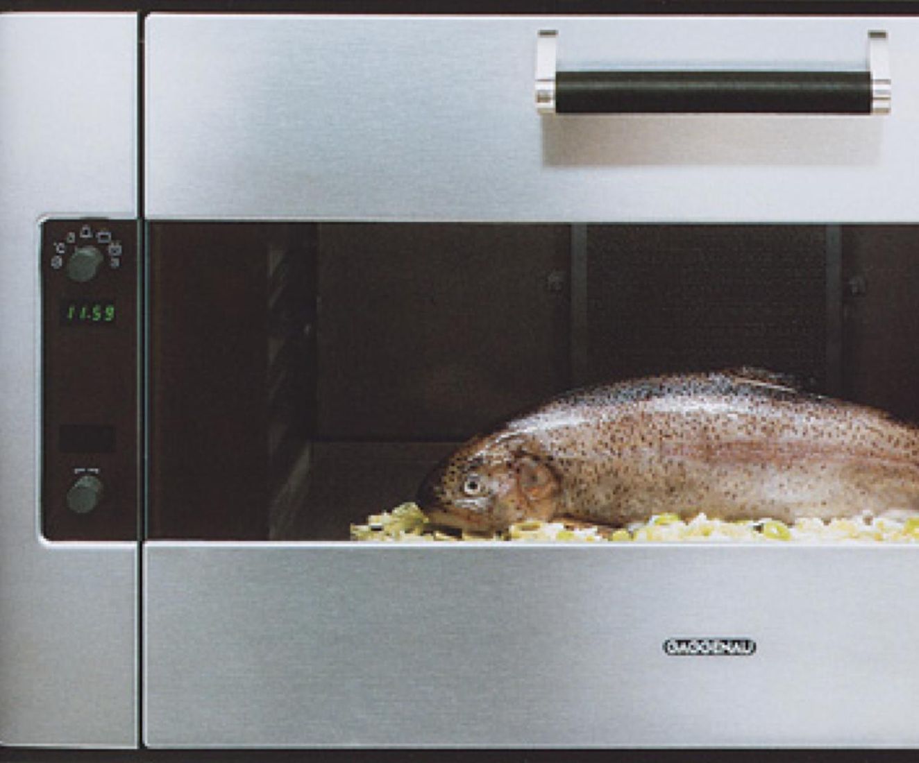 Photo d’archive d’un four Gaggenau de 90 cm des années 1980, porte vitrée et poisson en cuisson